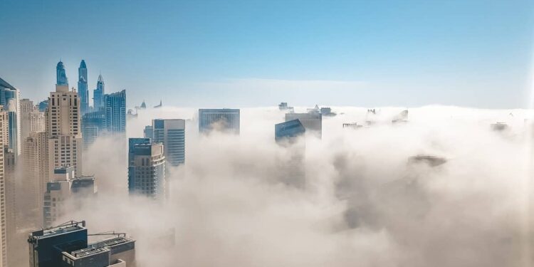 Dubai property management organization