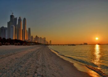 Dubai Economy provides 9% more licenses in January