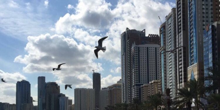 Arada to construct Dh367m student lodging complex at Aljada, Sharjah