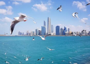 Dubai's property market