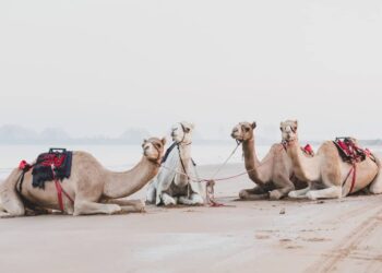 UNESCO heritage sites in the UAE