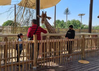 Ticket prices, location, and more for Dubai Safari Park 2022