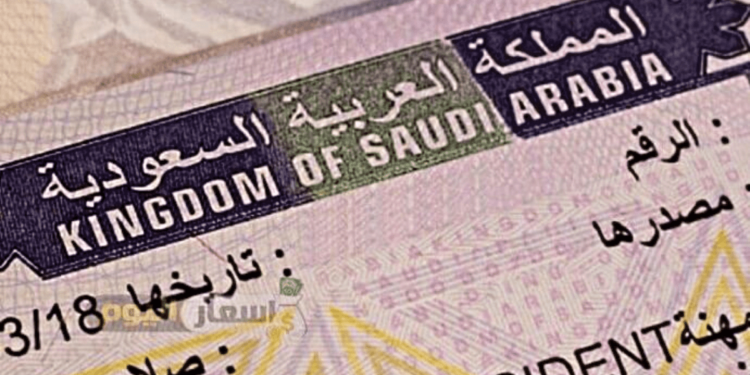 Applying for the Saudi eVisa? As an expat in the GCC, make sure your occupation is eligible