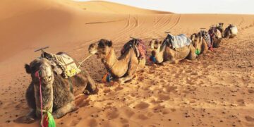 How to survive summer in the UAE: 8 tips