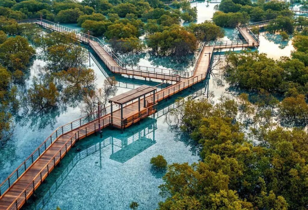 From ticket prices to location, everything you need to know about Jubail Mangrove Park in Abu Dhabi