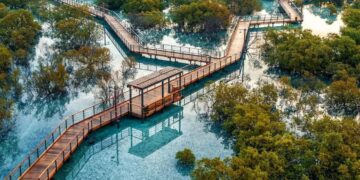 From ticket prices to location, everything you need to know about Jubail Mangrove Park in Abu Dhabi