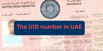 UID number in UAE 2024: How to find it?